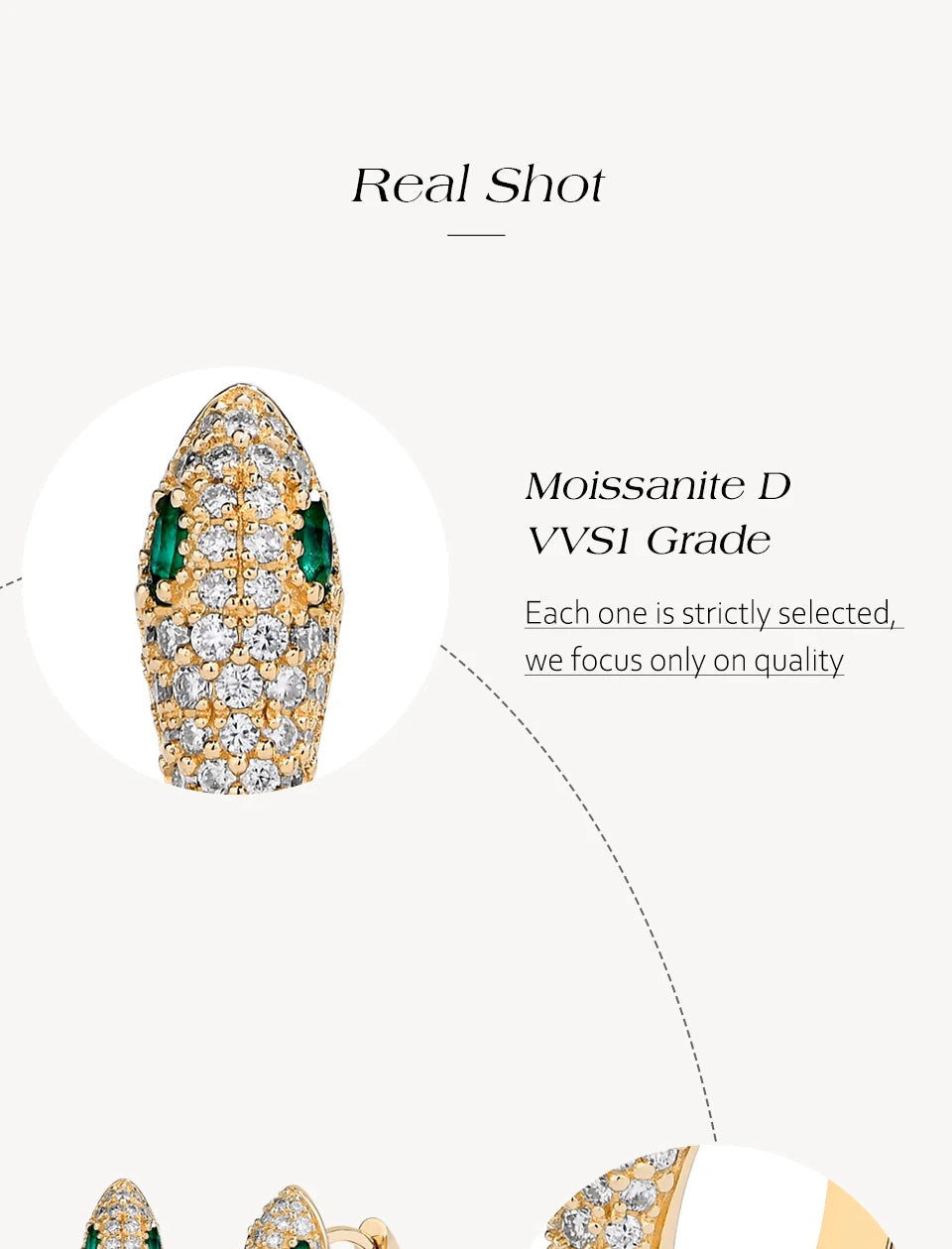 Snake  Diamond Earring S925